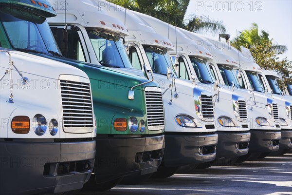 trucks in a row. Date : 2008