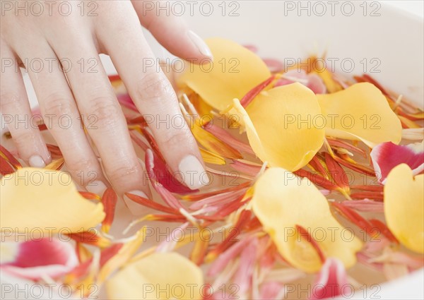Woman with hand in bowl of water and flower petals. Date : 2008
