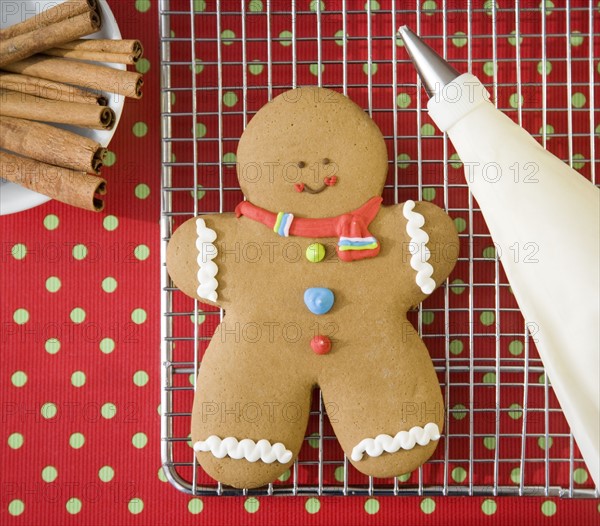 Gingerbread man cookie on cooling rack. Date : 2008