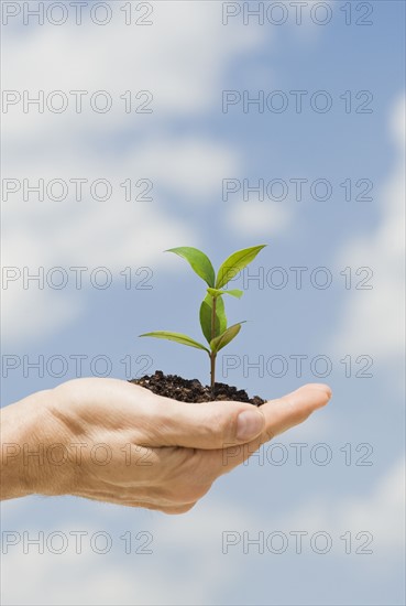 Man holding soil and plant in open hand.