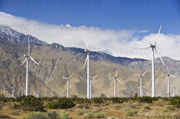 Wind farm in front of mountains, Palm Springs, California, United States.