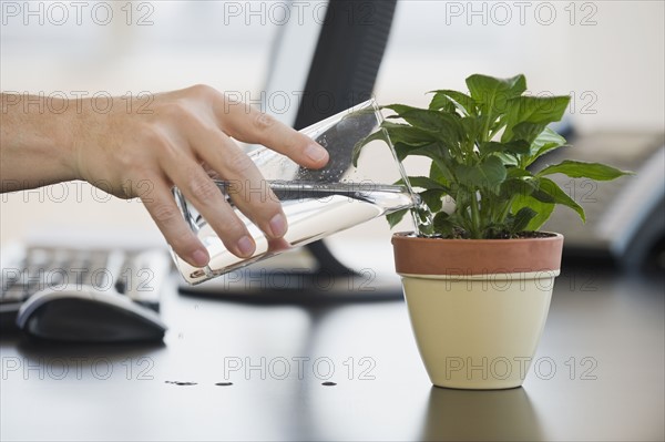 Businessman watering potted plant.