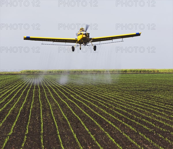 crop-duster plain over field. Date : 2008