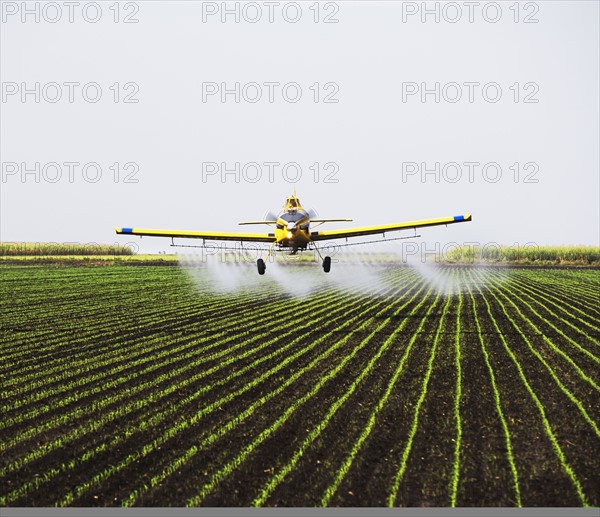 crop-duster plain over field. Date : 2008