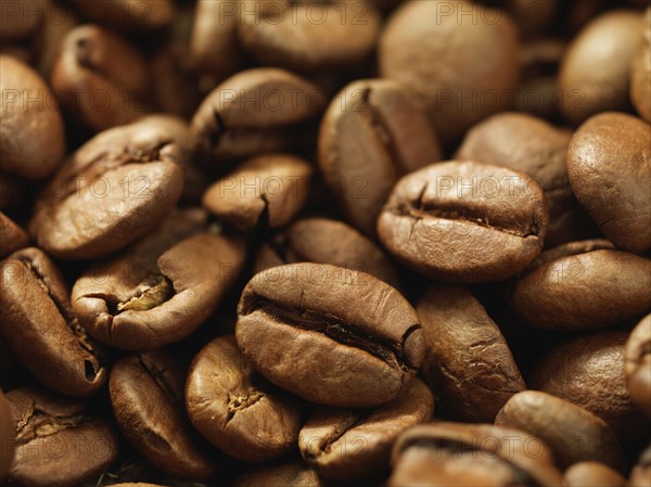 Close up of coffee beans. Date : 2008