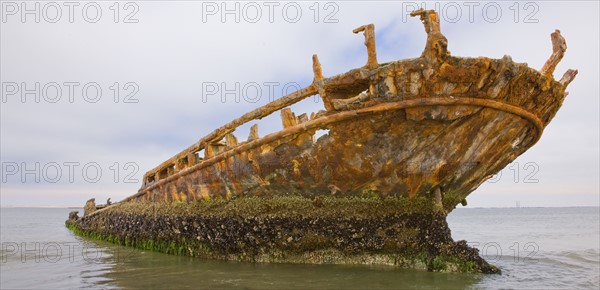 Old shipwreck sticking out of water, Namibia, Africa. Date : 2008