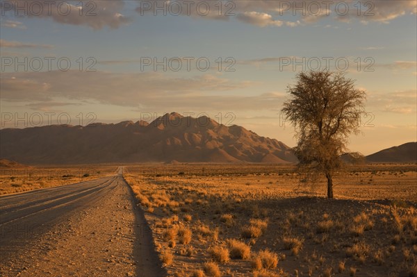 Road and mountains, Namib Desert, Namibia, Africa. Date : 2008