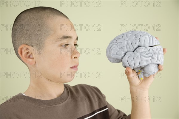 Boy looking at human brain model. Date : 2008
