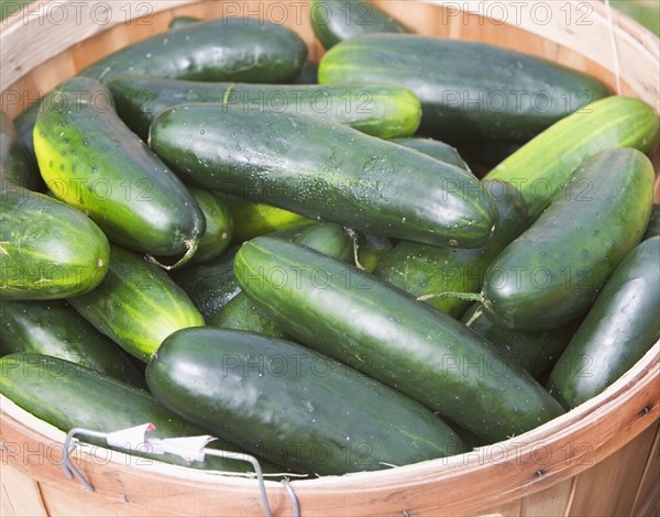 cucumbers, produce. Date : 2008