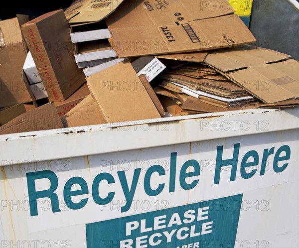 Recycling dumpster filled with cardboard. Date : 2008