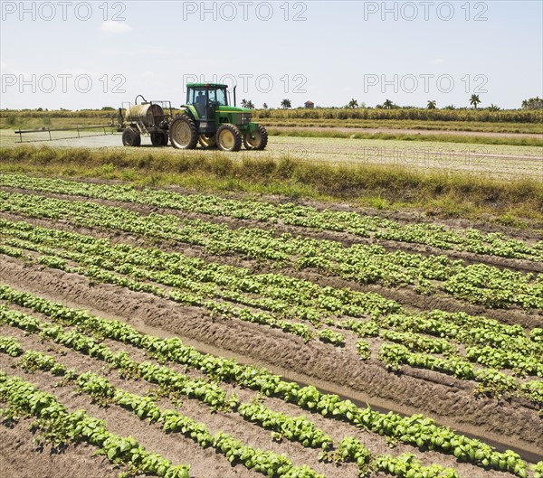 Tractor spraying field, Florida, United States. Date : 2008