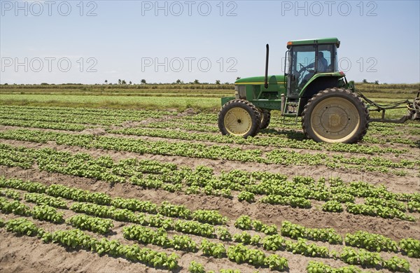 Tractor in field, Florida, United States. Date : 2008