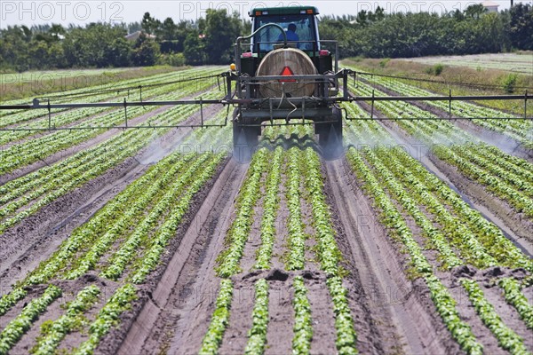 Tractor spraying field, Florida, United States. Date : 2008