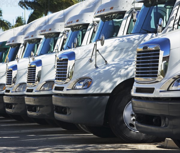 trucks in a row. Date : 2008