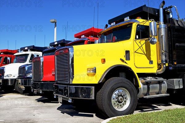 trucks in a row. Date : 2008