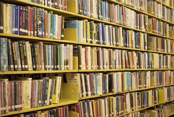 books on library shelves. Date : 2008