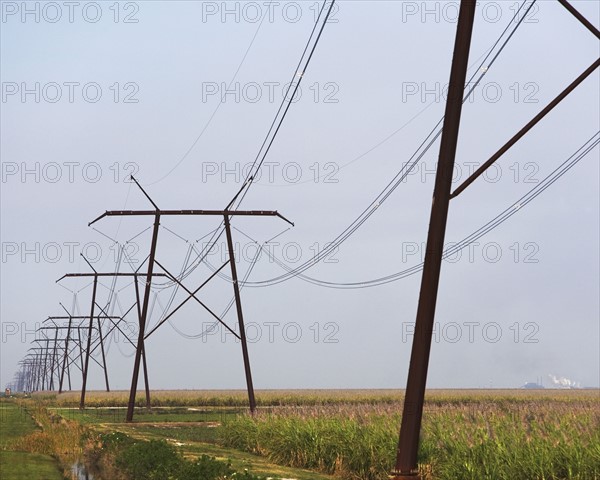 electric poles. Date : 2008