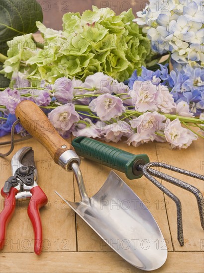 Flowers and gardening supplies.