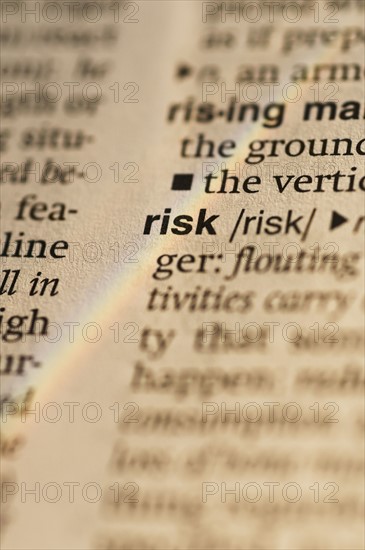Definition of risk in dictionary. Date : 2008