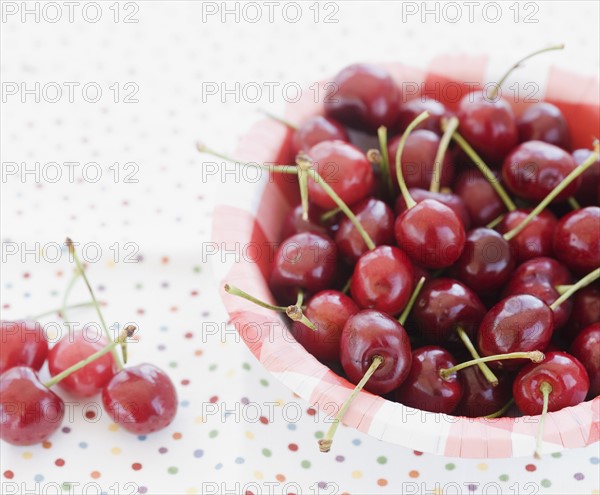 Bowl of fresh cherries. Date : 2008