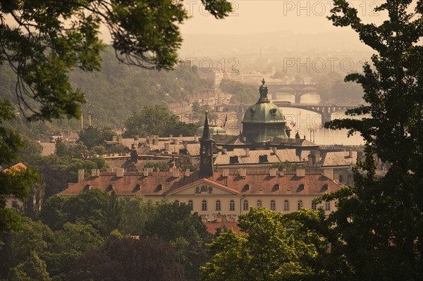 View of city from hillside.