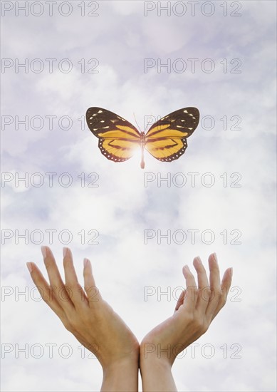 Hands releasing butterfly.