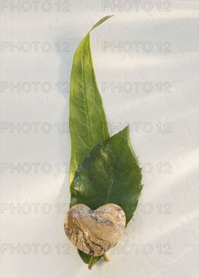 Close up of leaves and stone heart.
