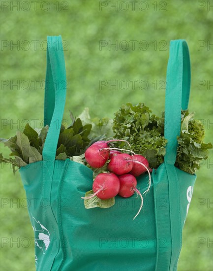 Organic produce in reusable grocery bag.
