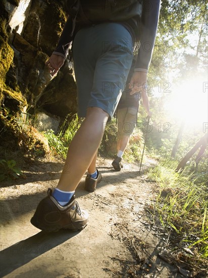 Hikers on forest trail. Date : 2008