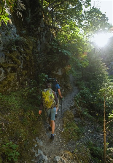 Hikers on forest trail. Date : 2008