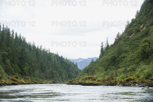 River running through forested canyon. Date : 2008