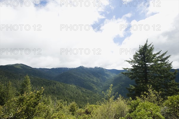 Forest and mountains. Date : 2008