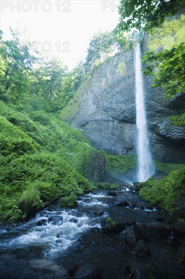 Lush canyon and waterfall. Date : 2008