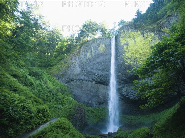 Lush canyon and waterfall. Date : 2008