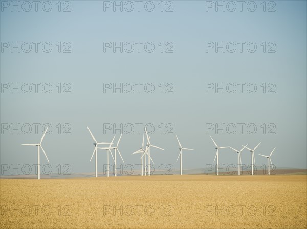 Row on windmills on wind farm. Date : 2008