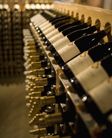 Racks of wine bottles. Date : 2008