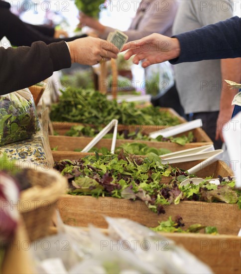 People buying lettuce at farmers market. Date : 2008