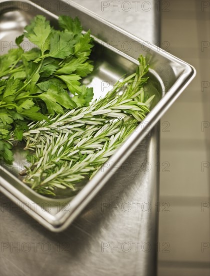 Assorted herbs in tray. Date : 2008