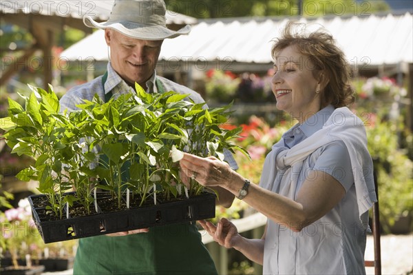 Employee helping woman buy plants. Date : 2008