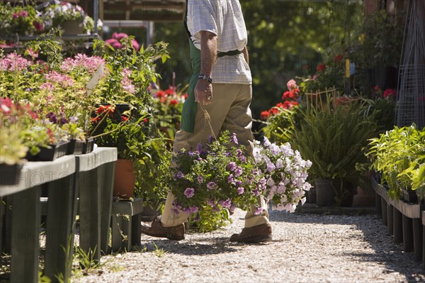 Man working in garden center. Date : 2008