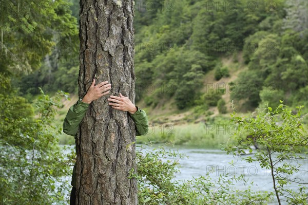 Hiker hugging tree. Date : 2008