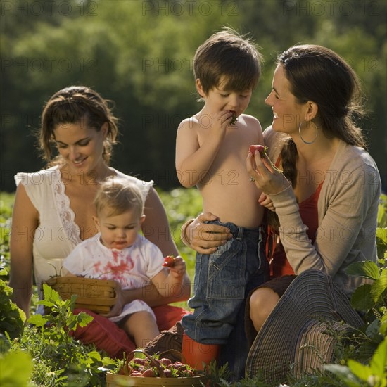 Mothers and children picking strawberries. Date : 2008