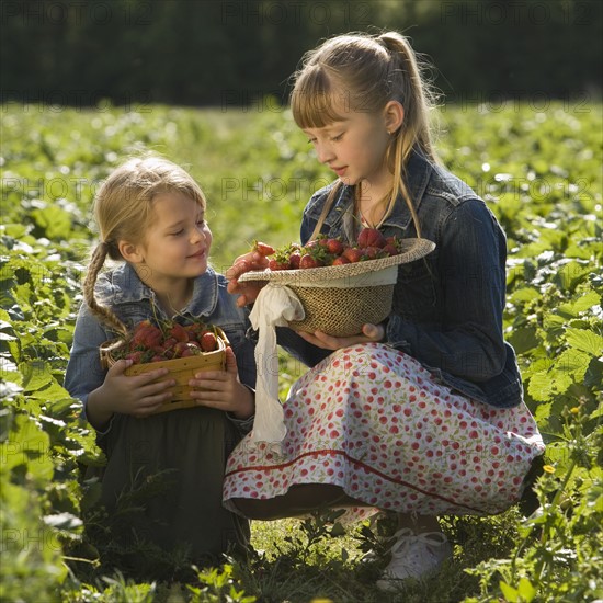 Sisters picking strawberries. Date : 2008