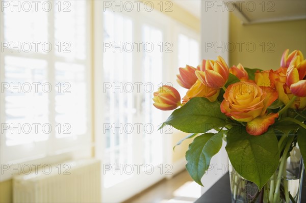 Close up of bouquet in livingroom. Date : 2008