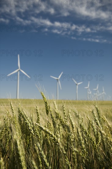 Windmills in a row on wind farm. Date : 2008