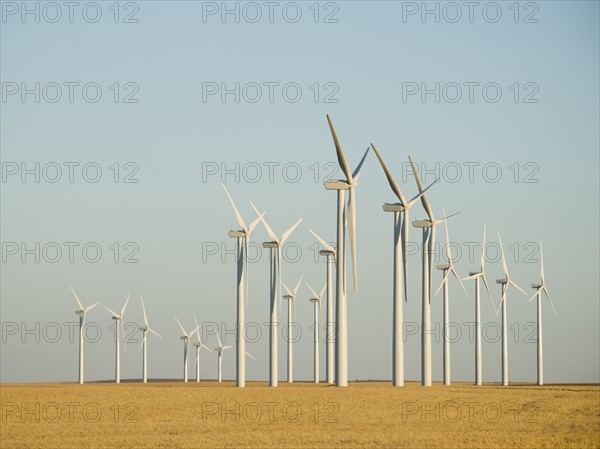 Rows of windmills on wind farm. Date : 2008