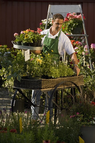 Man working in garden center. Date : 2008