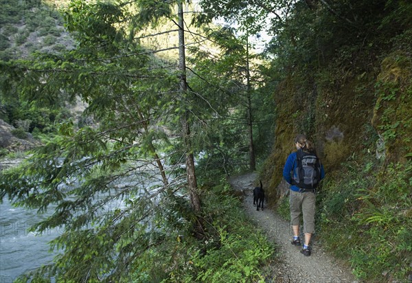 Hiker and dog on forest trail. Date : 2008