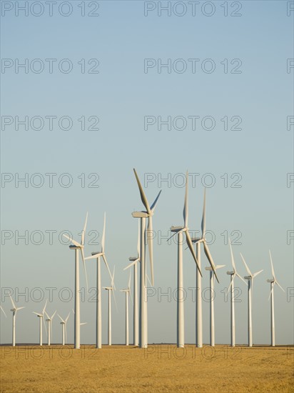 Rows of windmills on wind farm. Date : 2008