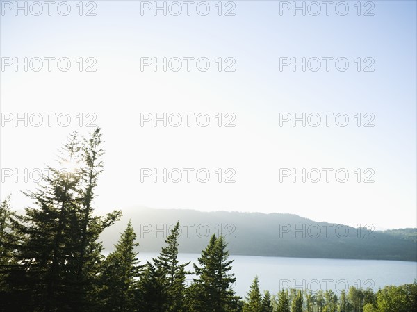 Scenic view of river. Date : 2008